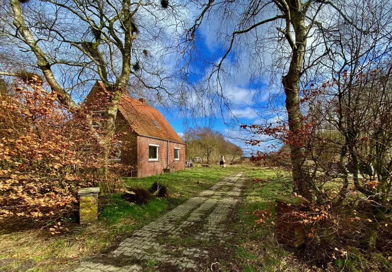 Ferienhaus Marienhafe