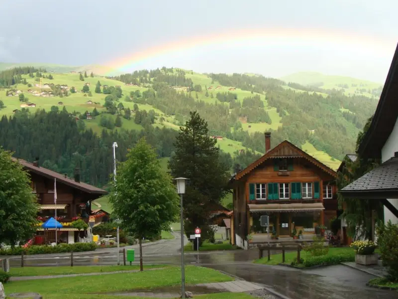 Ferienwohnung  Lenk