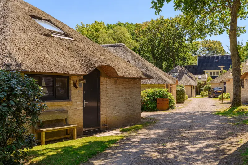 Ferienhaus mit Hund in Schoorl, Holland fuer max. 4 Personen