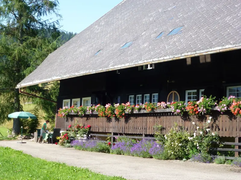 Ferienwohnung Sankt Blasien