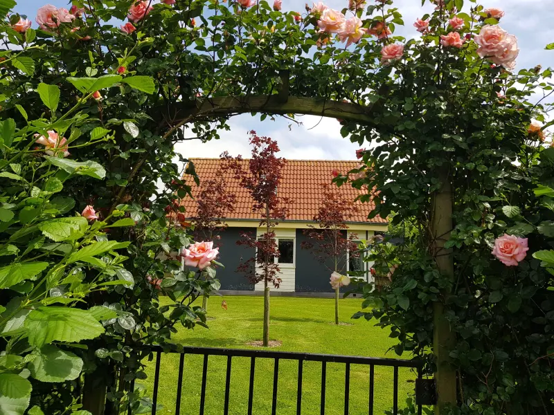 Ferienhaus Camperduin