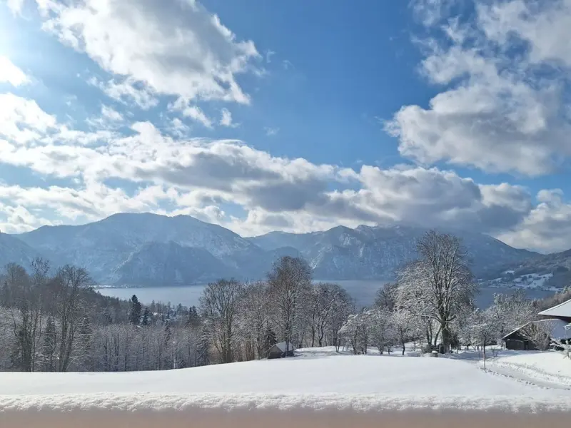 Ferienwohnung mit Hund in Feld, Attersee f&uuml;r max. 4 Personen