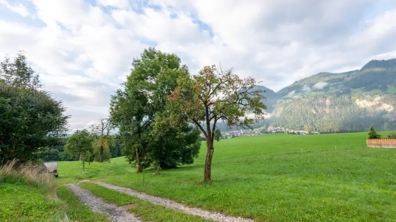 Ferienwohnung Reith im Alpbachtal