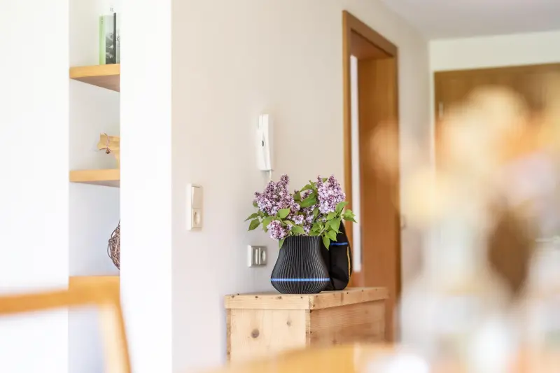 Ferienwohnung  Mellau