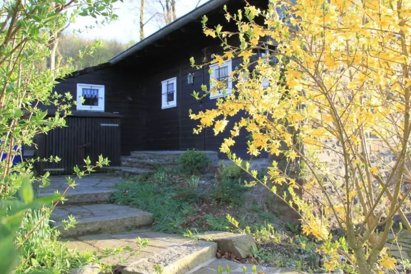 Ferienhaus  Widdau
