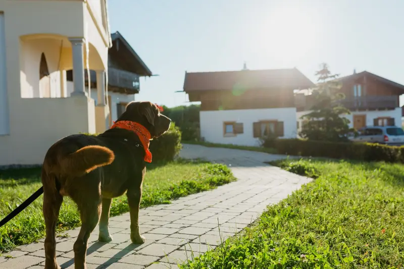 Ferienhaus Pocking