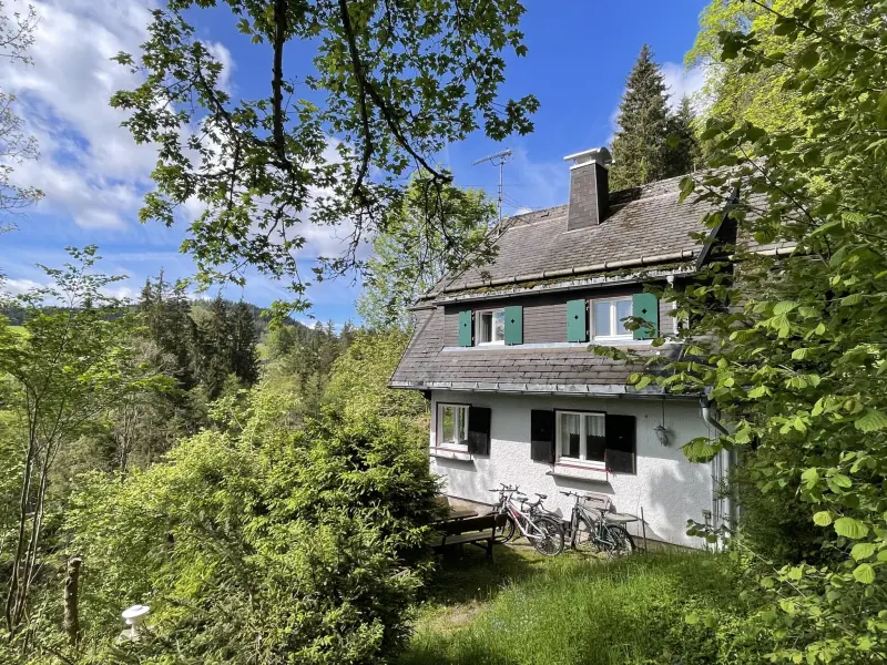 Ferienhaus Bärental