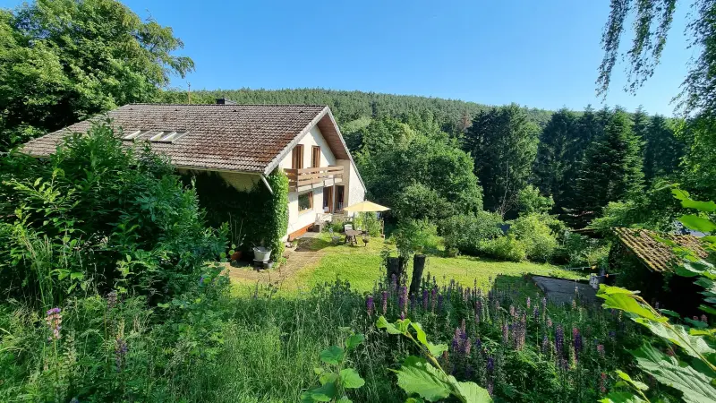 Ferienwohnung Amorbach