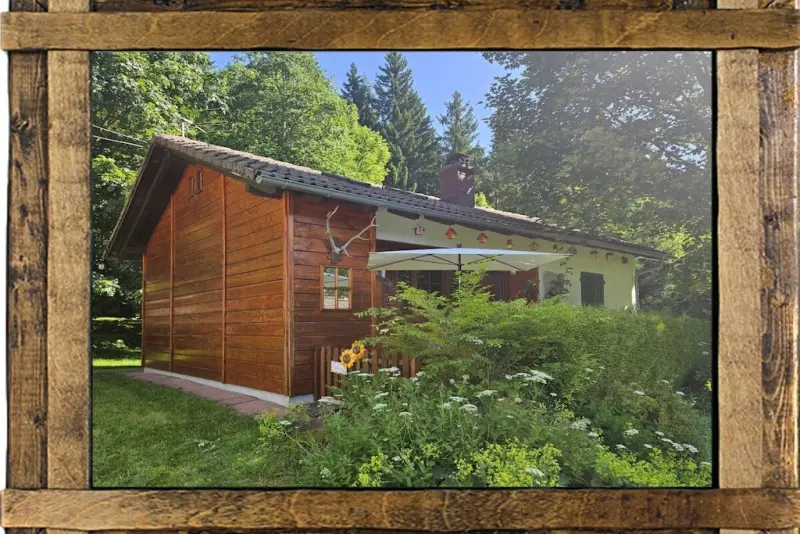 Ferienhaus mit Hund in Falkau für max. 6 Personen Ferienhaus mit Hund in Falkau für max. 6 Personen