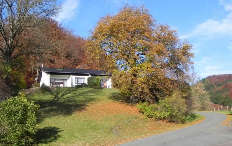 Bungalow Usseln