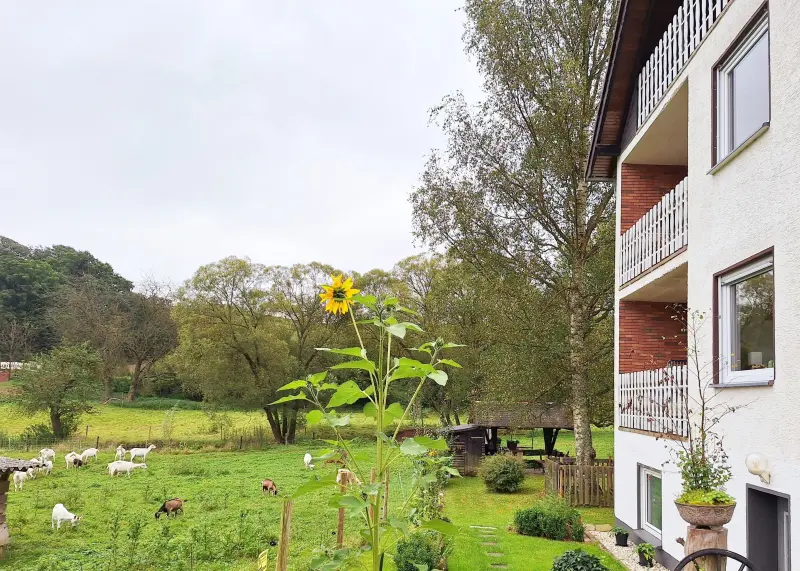 Ferienwohnung Bad Münstereifel