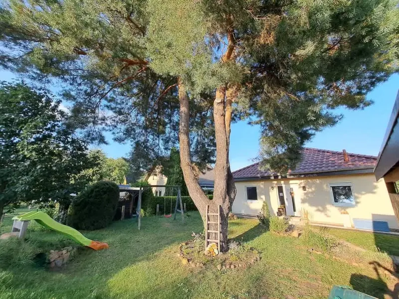 Ferienhaus Waltersdorf