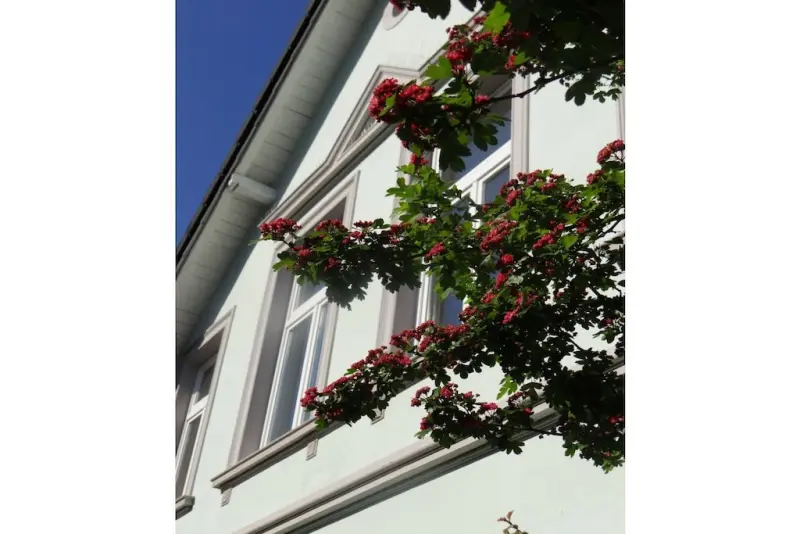 Ferienhaus Oldenburg