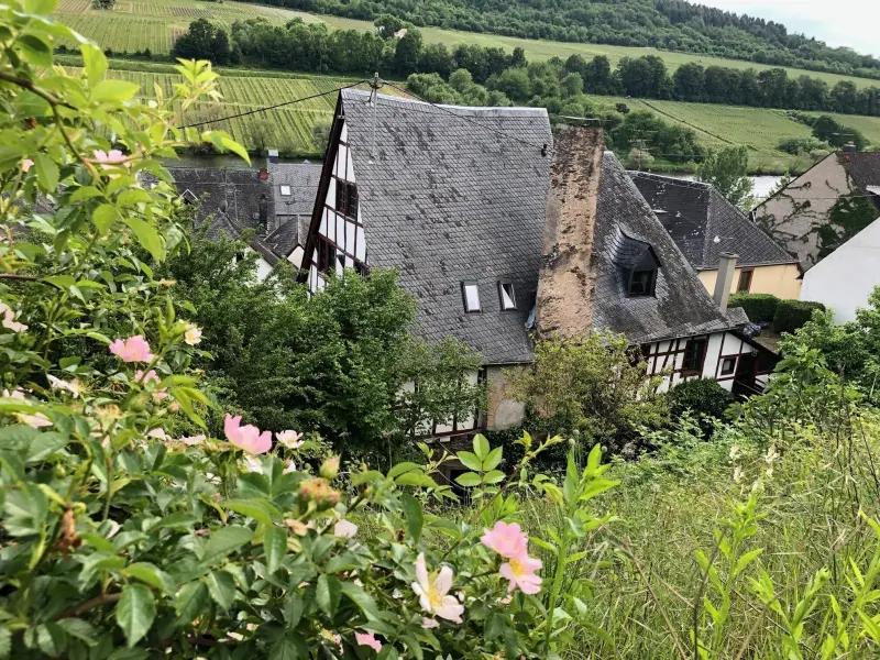 Ferienwohnung Zell (Mosel)
