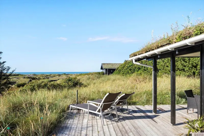 Ferienhaus mit Hund in Grønhøj fuer max. 4 Personen