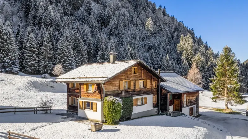 Ferienhaus  Partenen