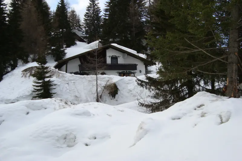 Ferienhaus mit Hund in Sonnenalpe Nassfeld für max. 4 Personen Ferienhaus mit Hund in Sonnenalpe Nassfeld für max. 4 Personen