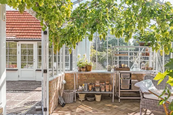 Havudsigt og orangeri på magiske Møn