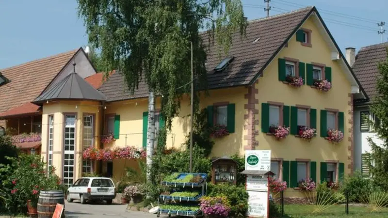 Ferienwohnung Ringsheim