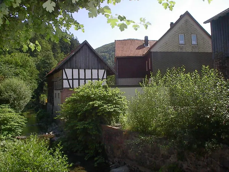 Ferienhaus  Wieda