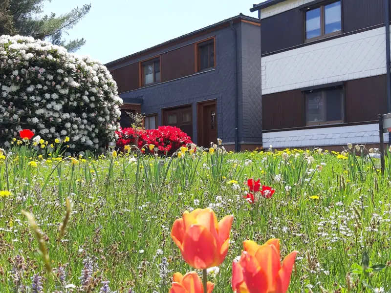 Ferienwohnung Cursdorf