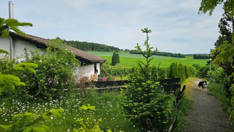 Ferienhaus Stadtkyll