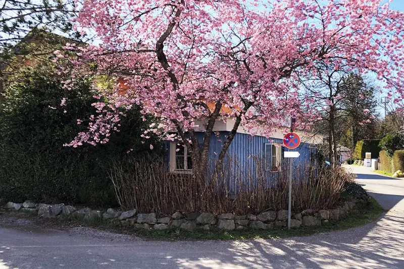 Ferienwohnung Seeshaupt