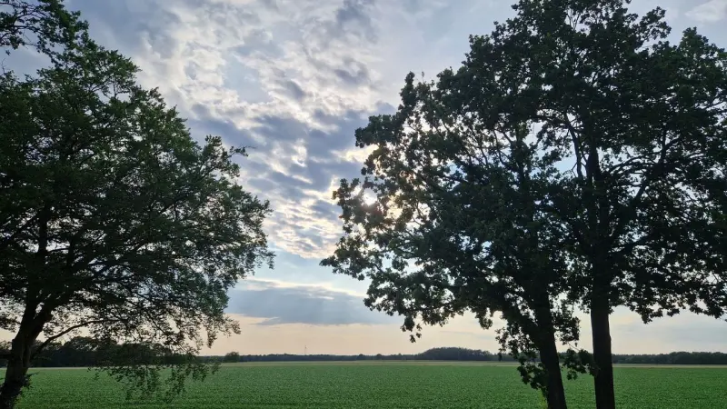 Ferienwohnung  Haselünne