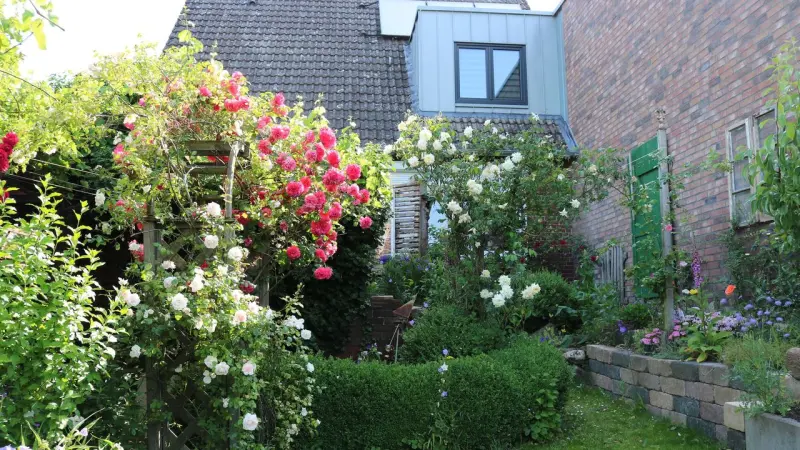 Ferienwohnung  Handeloh