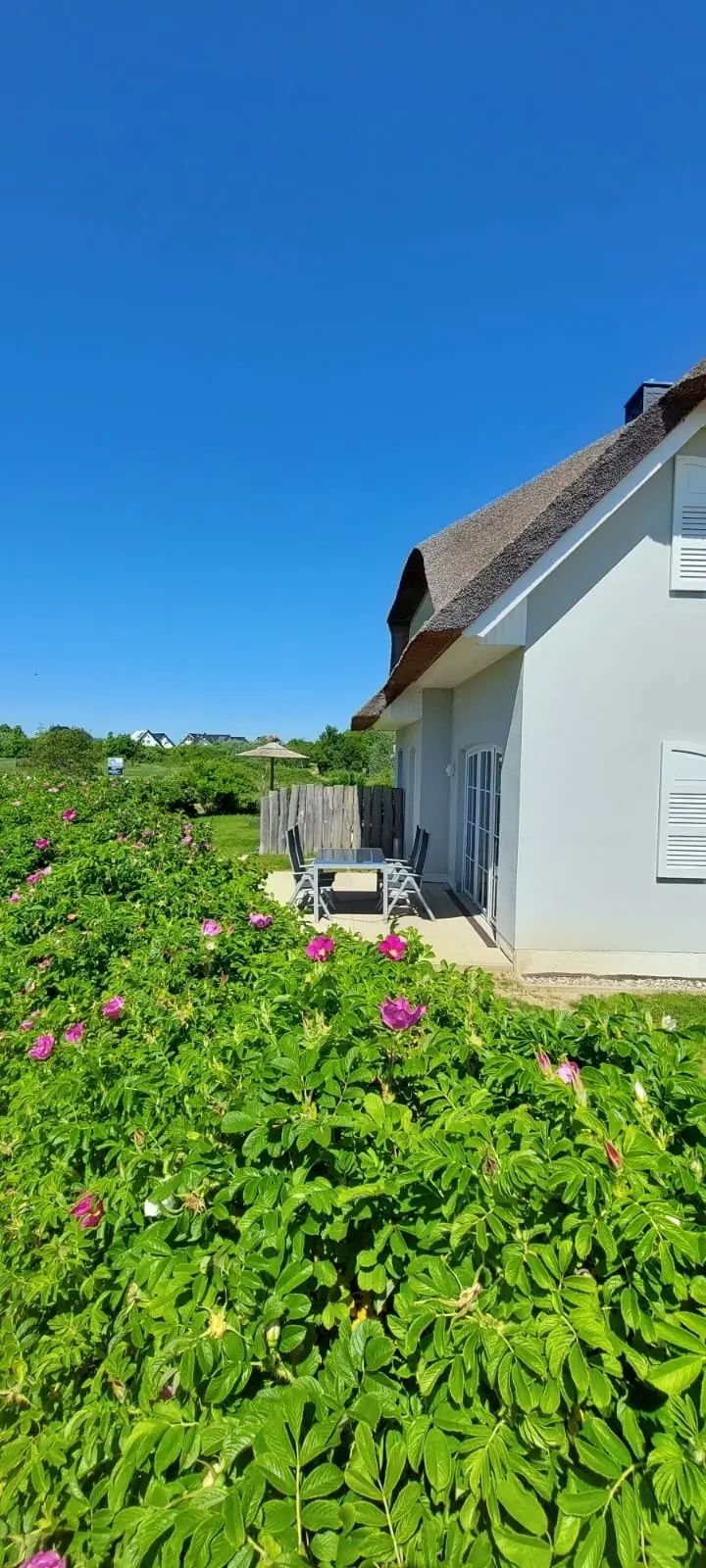 Ferienhaus Groß Schwansee