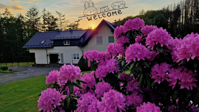 Ferienhaus Reichshof