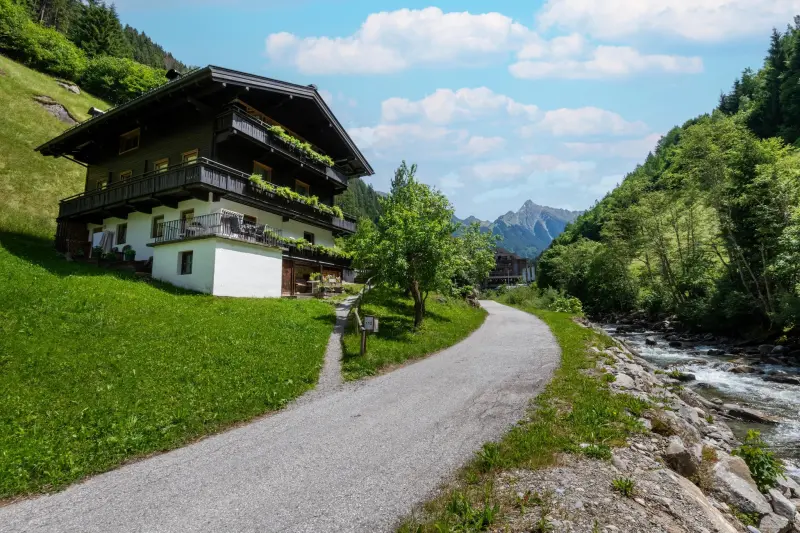 Ferienhaus mit Hund in Gemeinde Brandberg, 