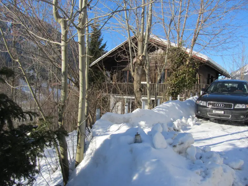 Apartment  Lenk im Simmental