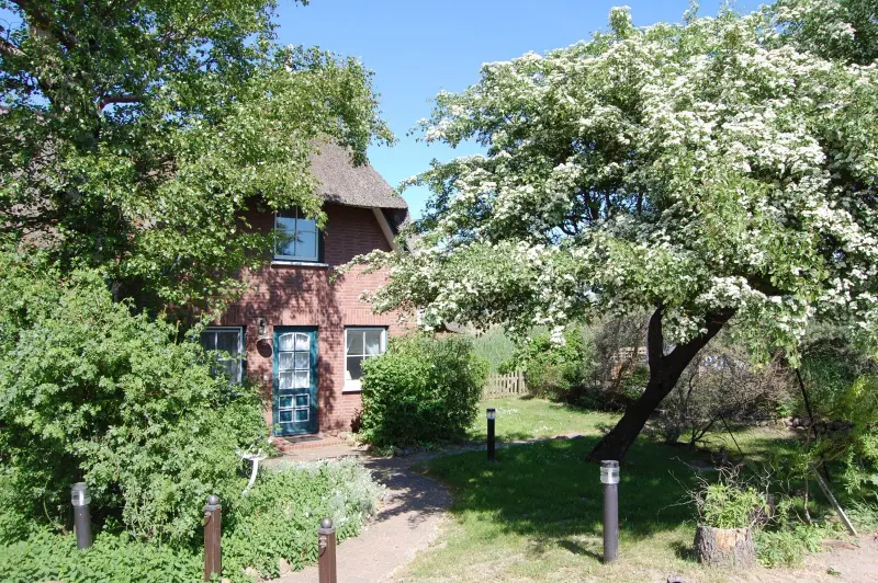 Ferienhaus  Ahrenshoop
