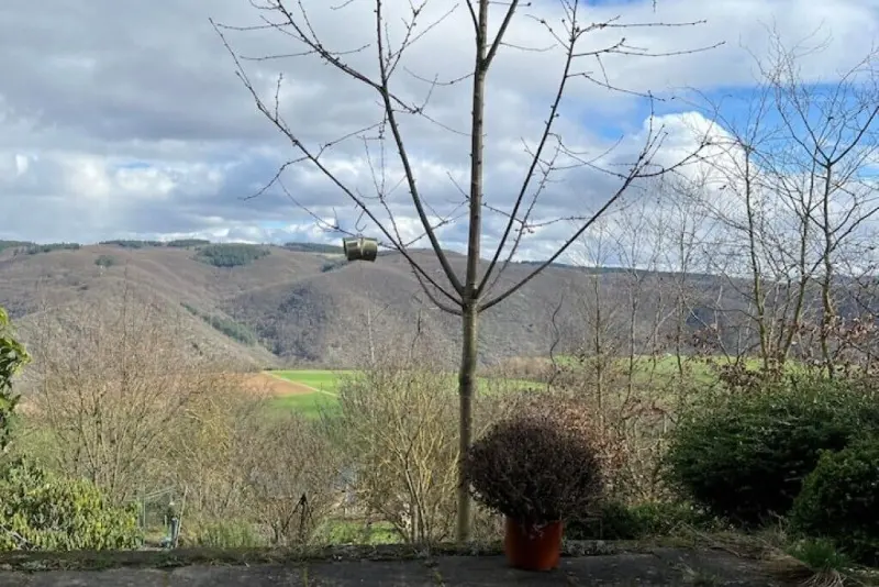 Ferienwohnung Bacharach
