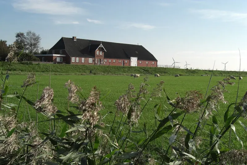 Ferienhaus in Langenhorn f&uuml;r max. 2 Personen