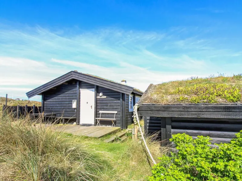 Ferienhaus mit Hund in Houvig Strand fuer max. 4 Personen