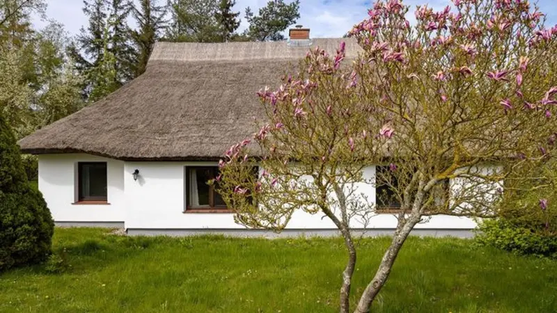 Ferienhaus  Suhrendorf