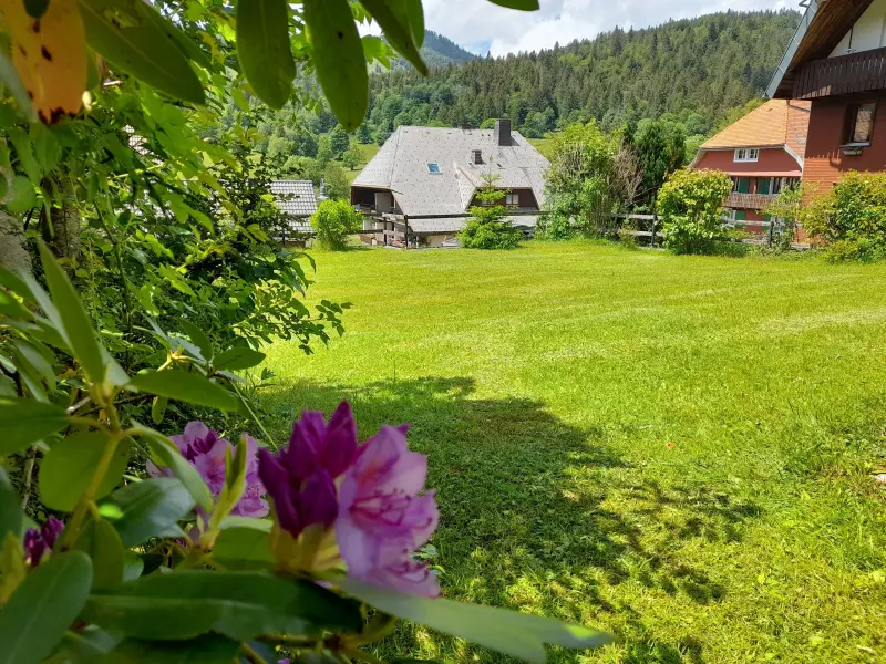 Ferienwohnung Sankt Blasien