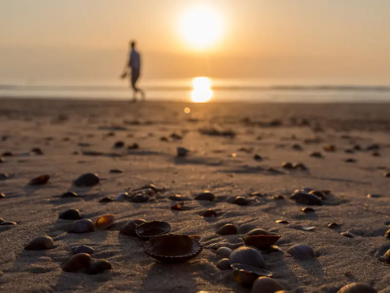 Gemütliches Ferienhaus | Neben dem Strand | Haustierfreundlich