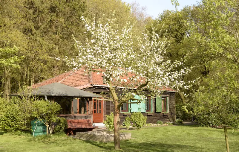 Ferienhaus Elmlohe