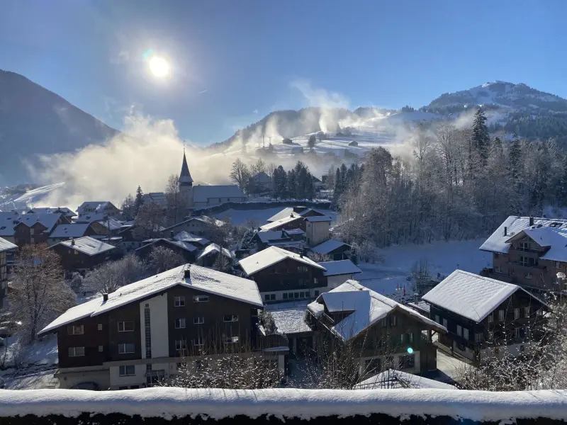 Ferienwohnung  Zweisimmen