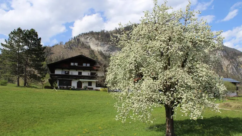 Ferienwohnung  Kramsach