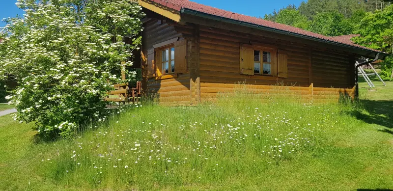 Ferienhaus Stamsried