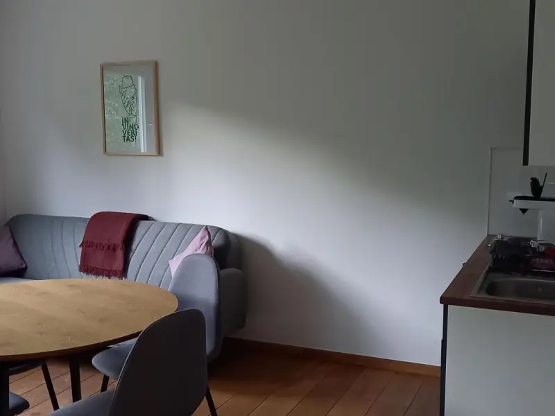 Ferienhaus Brauneberg