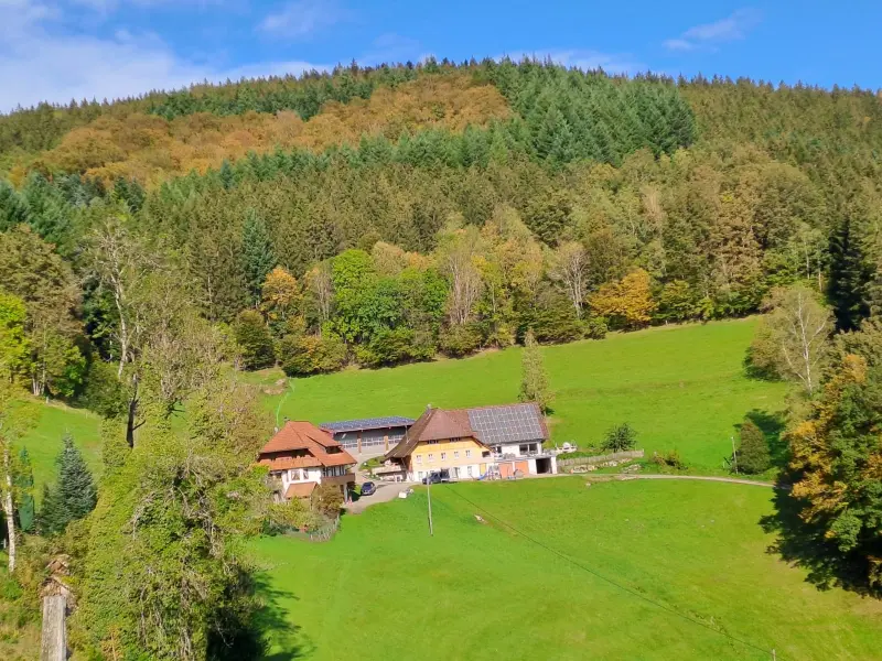 Ferienwohnung  Wolfach