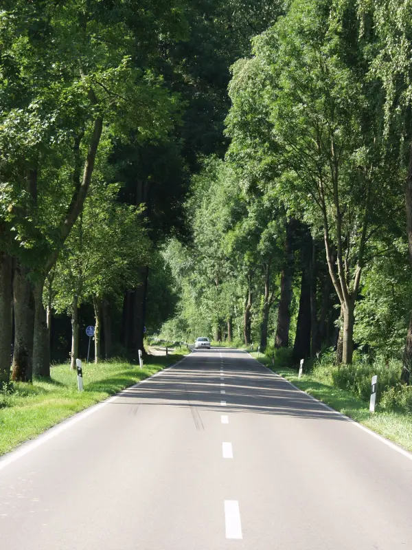 Ferienwohnung Laupheim