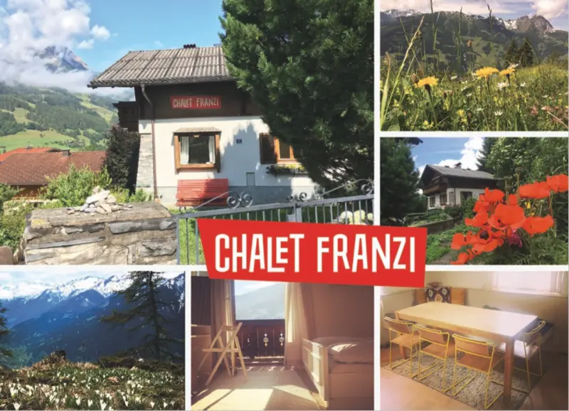 Ferienwohnung mit Hund in Gemeinde Dorfgastein fuer max. 9 Personen