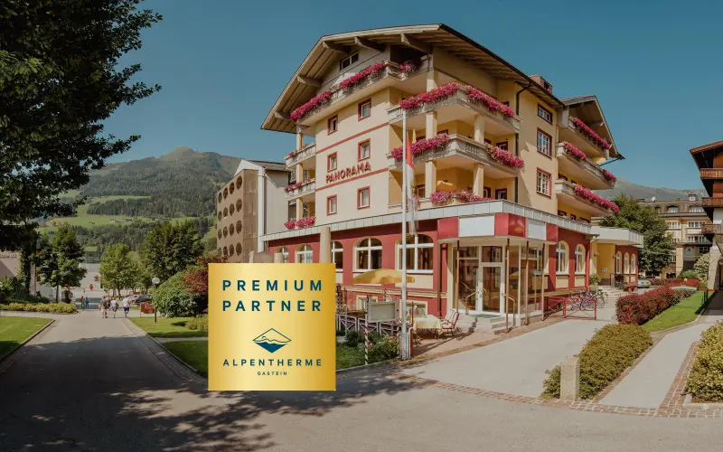Ferienwohnung mit Hund in Bad Hofgastein, Salzburger Land, &Ouml;sterreich