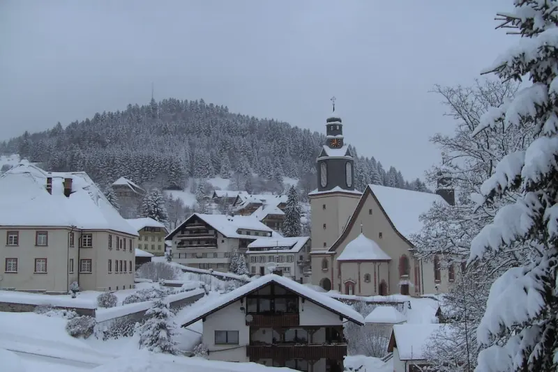 Ferienhaus Todtmoos